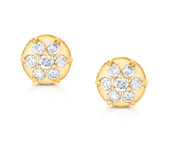 Carbon Hyde Earrings Elixir Studs