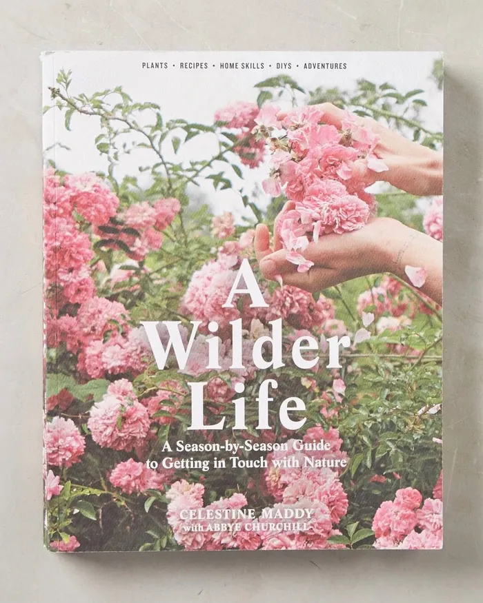 A Wilder Life Library Earrings