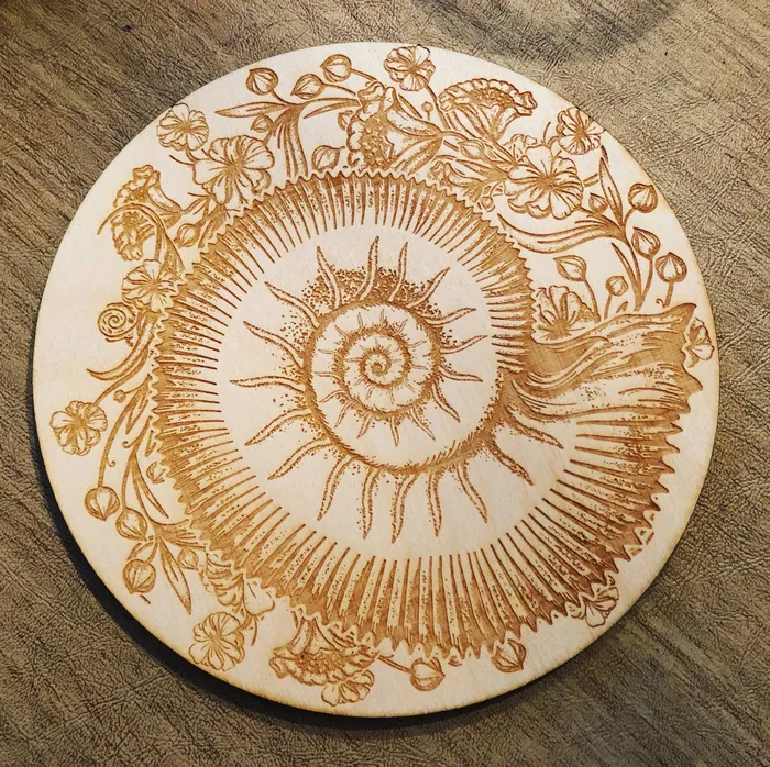 Ammonite Crystal Grid 6inches Zen and Meow Earrings