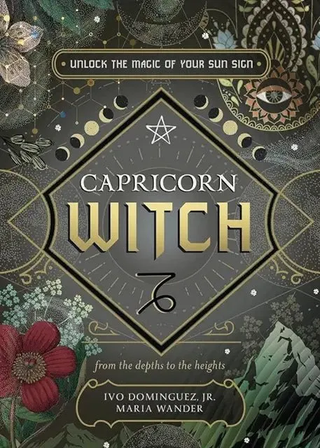 Earrings Llewellyn Worldwide LTD Capricorn Witch