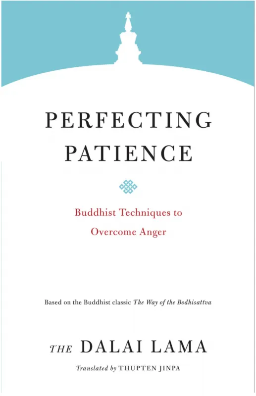 Earrings Microcosm Publishing Distribution Perfecting Patience Buddhist Techniques to Overcome Anger