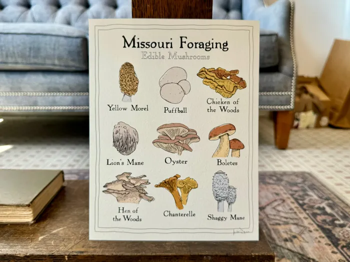Earrings Missouri Foraging Edible Mushrooms Print Jessie Donovan Consignment