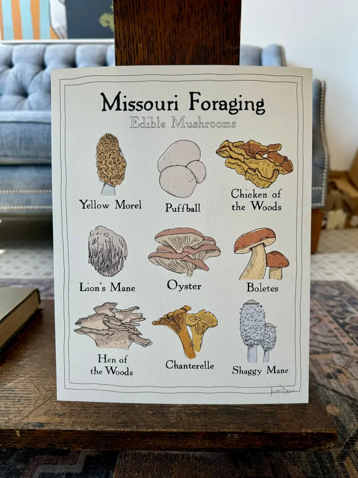 Earrings Missouri Foraging Edible Mushrooms Print Jessie Donovan Consignment