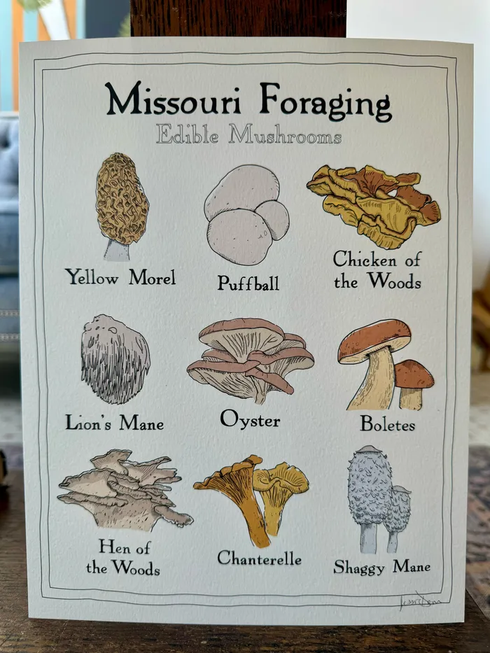 Earrings Missouri Foraging Edible Mushrooms Print Jessie Donovan Consignment