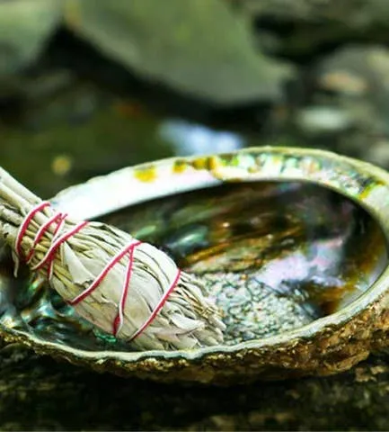 Earrings Prabhujis Gifts Burner Abalone shell large 5 65
