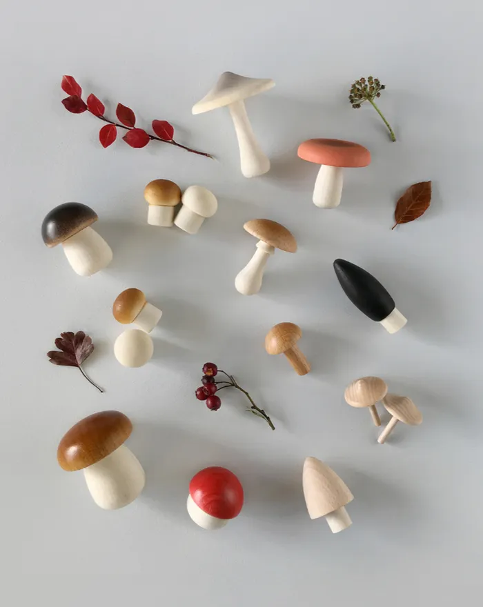 Rings Forest Mushrooms Basket Moon Picnic