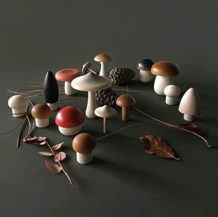 Rings Forest Mushrooms Basket Moon Picnic
