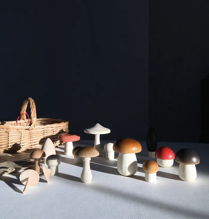 Rings Forest Mushrooms Basket Moon Picnic