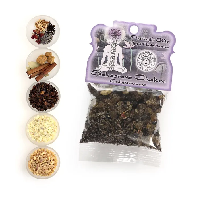 Sahasrara Chakra Enlightenment Prabhujis Gifts Earrings