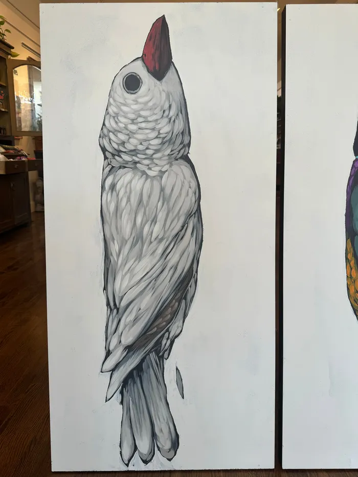 The Gouldian Finches 36985 Original work Ben Pierce Consignment Earrings