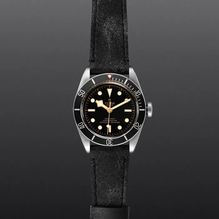 TUDOR Black Bay Rings