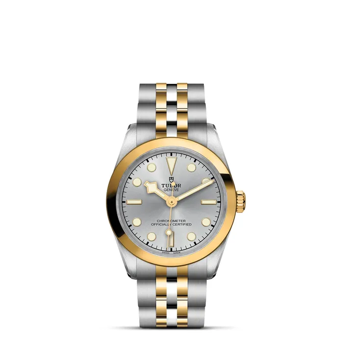 TUDOR Rings Black Bay 31 SG