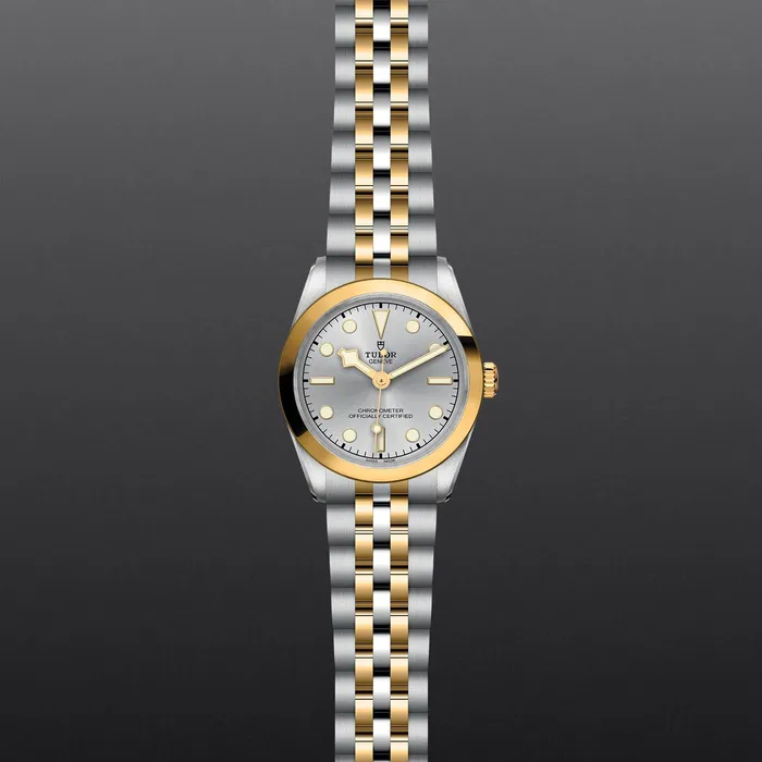 TUDOR Rings Black Bay 31 SG