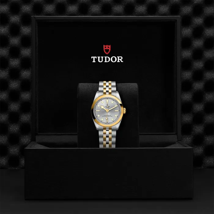 TUDOR Rings Black Bay 31 SG
