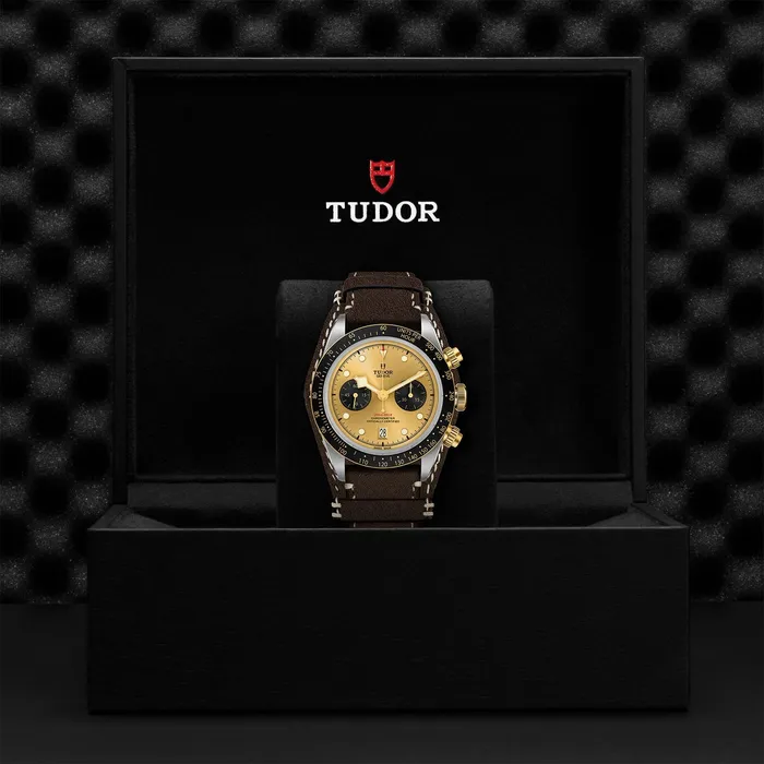TUDOR Rings Black Bay Chrono SG